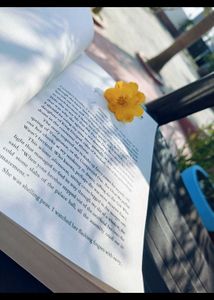 The Palace of Illusions Book