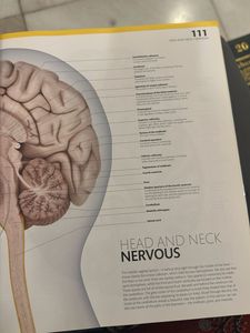 The Complete Human Body