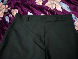 Green Straight Fit Pants
