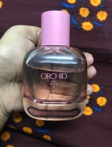 ZARA ORCHID BLOOM Perfume