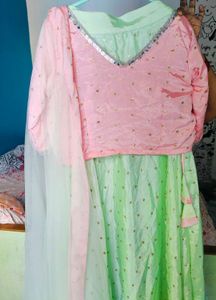 Pastel Lehanga Choli Set