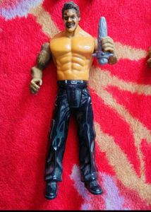 WWE Fighting Heroes