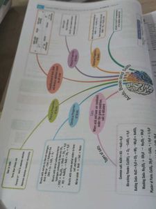 CBSE Class 10 Science book