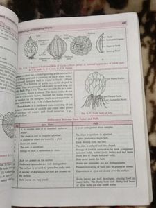 Companion Biology Class 11th Vol.1 &amp;2