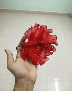 Stylish Red Sling Bag