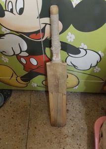 Used Cricket Bat