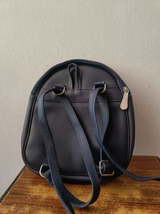 Teddy Bag