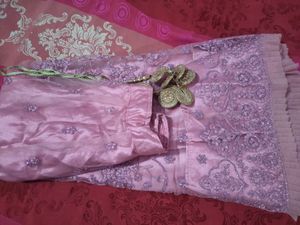Embroidered Lehnga choli