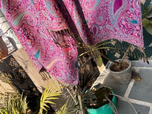 Paisley premium stole