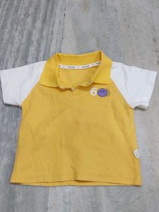 5 Daily Wear Tshirts