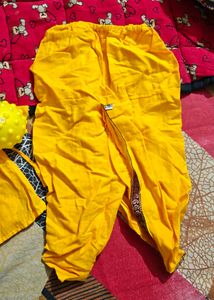 Krishna Costume