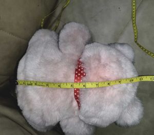Teddy Bear Medium Size