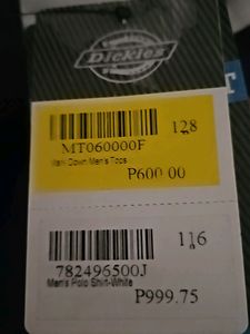 New Collar Stripe Cotton Tee