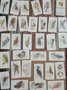 Vintage Grandee Bird  Cigarette Cards Collection
