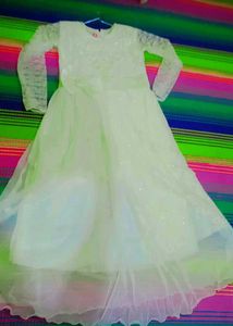 Elegant Ethnic Dress