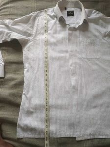 Park Avenue Branded Shirt