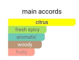 Dior Homme Sport 75ML (Discontinued)