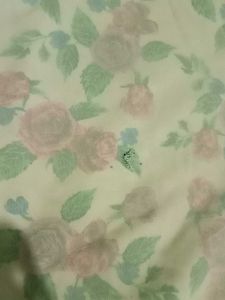 Used Kurti But looks Good