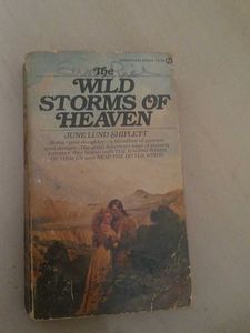 The Wild Storms Of Heaven