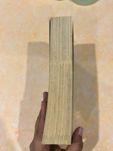 TERMS AND CONDITIONS NOVEL