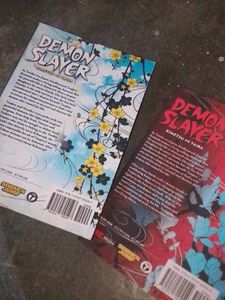 Demon Slayer 3-4 Volume