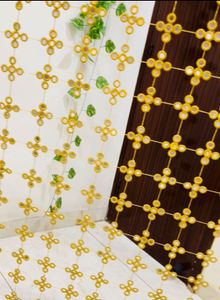 ✨Kareena kapoor sheesh dupatta