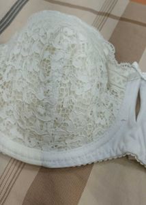 Light Padded Cotton Lace Bra..