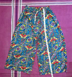 Palazzo Pants With Sequence & Zari Work