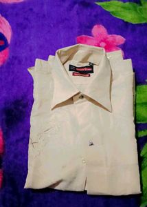 Classic Ivory Button-Down