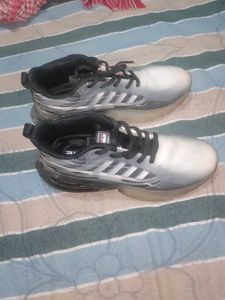 Stylish Silver Sneakers