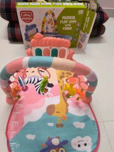 Baby Play Gym