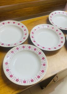 DINNER PLATES