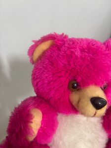 Pink Teddy Bear