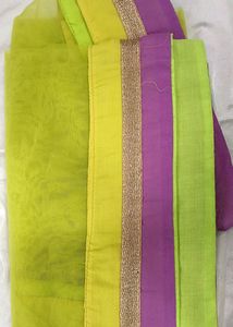 Parrot Green Net Duppata