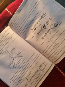 Botany Diagrams By Aakash!!