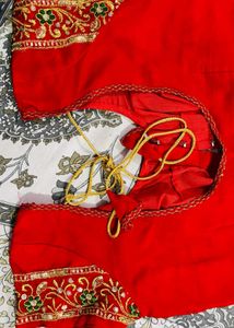 Green Embroidered Saree with red contrast blouse