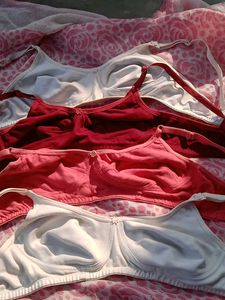 Bra Bundle - Comfortable Everyday Bras