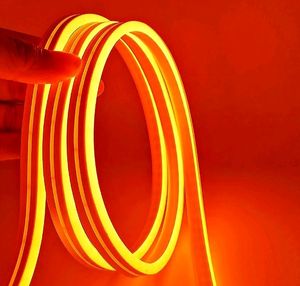 Neon Led Orange Colour 1mtr