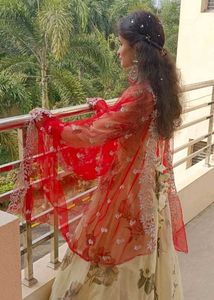 Heavy Organza Frock