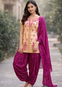 Elegant Salwar Kameez Suit