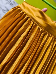 Brand New Sasafras Golden Skirt