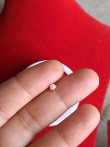 Pearl &amp; Gold Stud Earrings