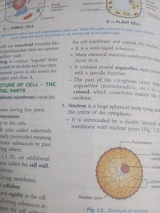 CLASS 10TH ICSE SCIENCE BOOKS , Selena Publishers