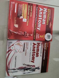 BDC Volume2 Lower Limb,Abdomen And Pelvis textbook