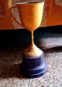 Trofi Cup