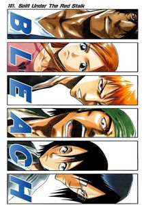 BLEACH Wall Posters 10 Pieces