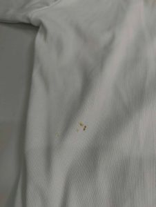 SODD White Short Sleeve Shirt