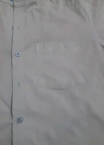Unisex Comfy Trendy Oversized Half Sleeves Shirt