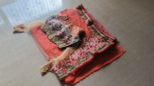 Orange &amp; Gold Half Net and Georgette Saree