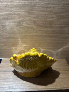 Ganesh Idol Showcase/Gift
